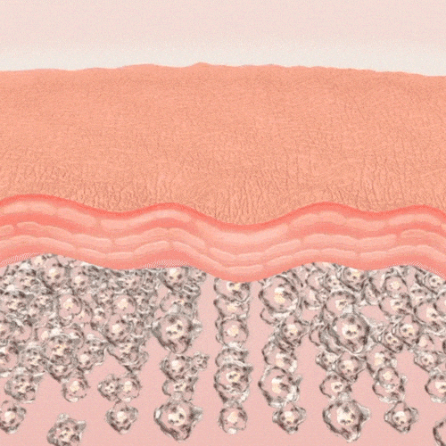 Collagen Glow Up Mask 2.0