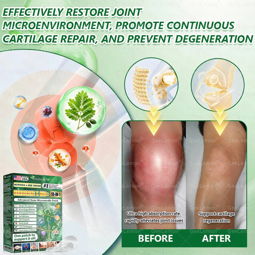 Moringa · Berberine × NAD+ 10-in-1 Advanced Nano Microneedle Patch — Once Daily, Visible Results in 7 Days